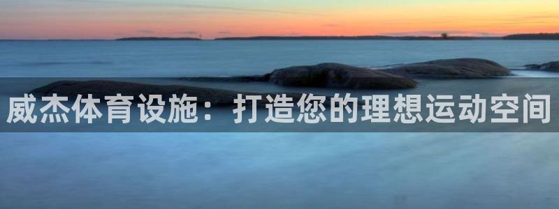 意昂3五金厂：威杰体育设施：打造您的理想运动空间