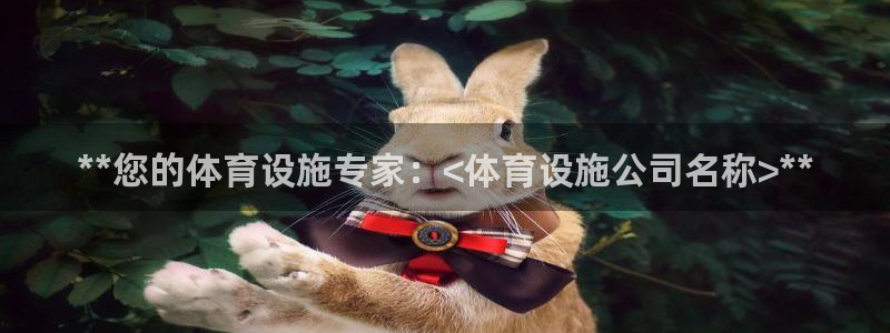 意昂体育3是干嘛的公司：**您的体育设施专家：<体育