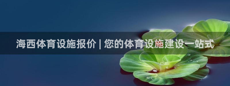 意昂3五金厂：海西体育设施报价 | 您的体育设施建设