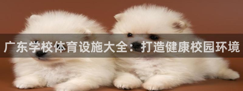 意昂体育3招商电话地址是多少：广东学校体育设施大全：