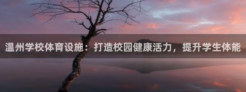 意昂平台体育