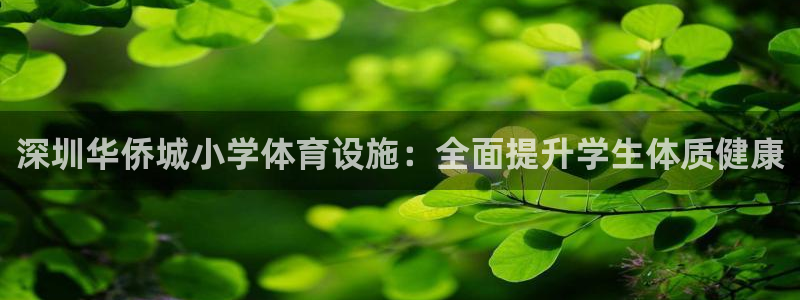 意昂体育3平台注册要钱吗：深圳华侨城小学体育设施：全