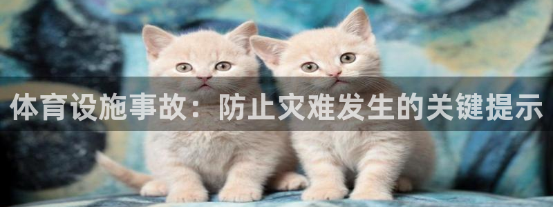 意昂体育3招商电话是多少：体育设施事故：防止灾难发生