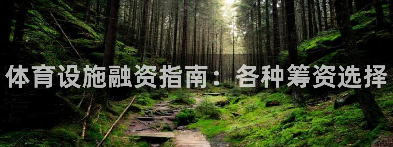 意昂3娱乐下载：体育设施融资指南：各种筹资选择