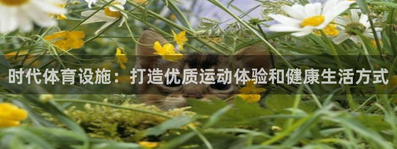 意昂3娱乐：时代体育设施：打造优质运动体验和健康生活
