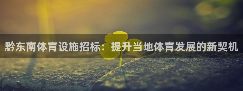 意昂体育3平台是正规平台吗：黔东南体育设施招标：提升