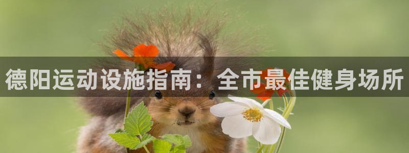 意昂3娱乐：德阳运动设施指南：全市最佳健身场所