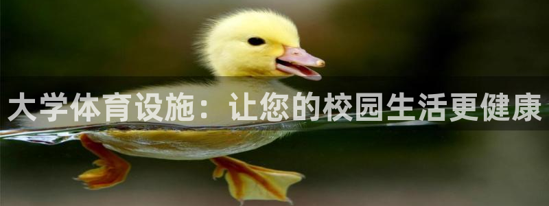 意昂体育3招商电话是多少号码：大学体育设施：让您的校
