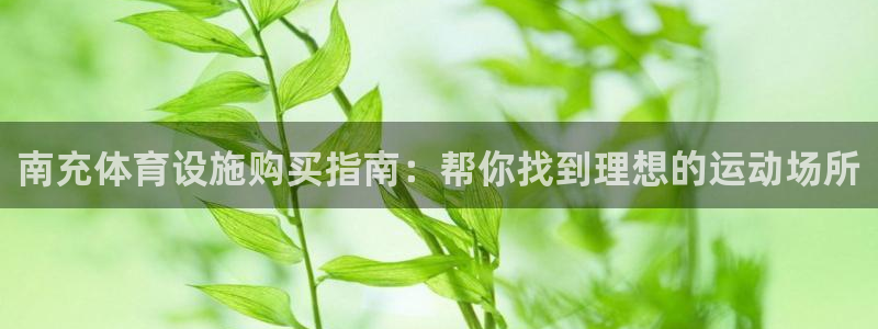 意昂3神州：南充体育设施购买指南：帮你找到理想的运动