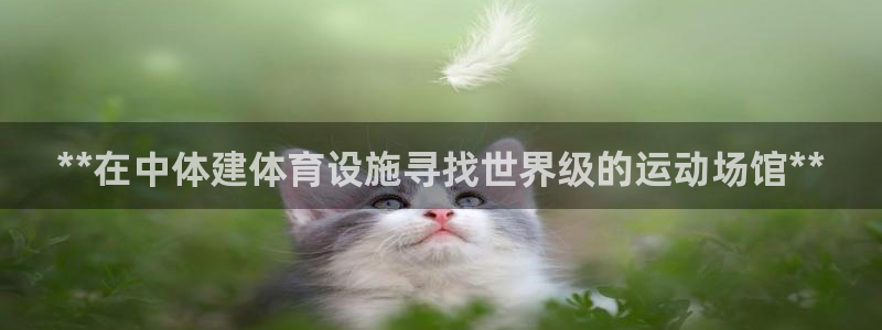 意昂集团官网：**在中体建体育设施寻找世界级的运动场