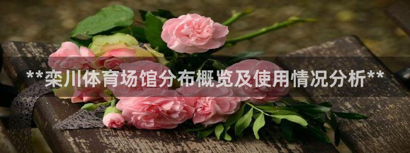意昂体育3开户：**栾川体育场馆分布概览及使用情况分