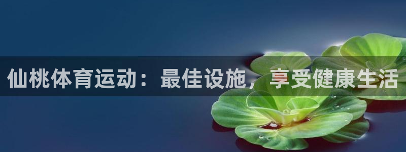意昂体育3：仙桃体育运动：最佳设施，享受健康生活