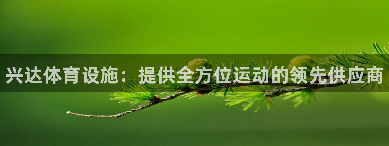 意昂3集团E.ON：兴达体育设施：提供全方位运动的领