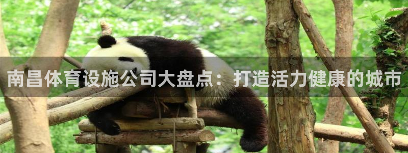 意昂体育3娱乐：南昌体育设施公司大盘点：打造活力健康