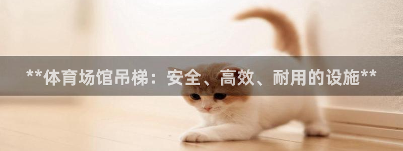 意昂体育3招商电话是多少：**体育场馆吊梯：安全、高