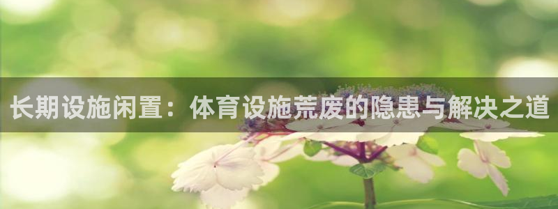 意昂体育3平台APP：长期设施闲置：体育设施荒废的隐