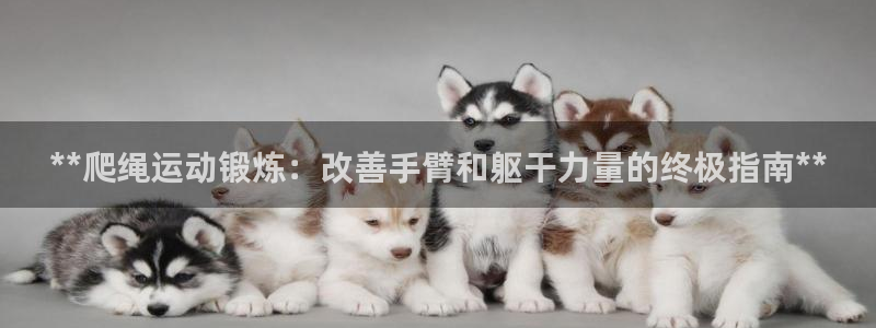 意昂3集团logo：**爬绳运动锻炼：改善手臂和躯干