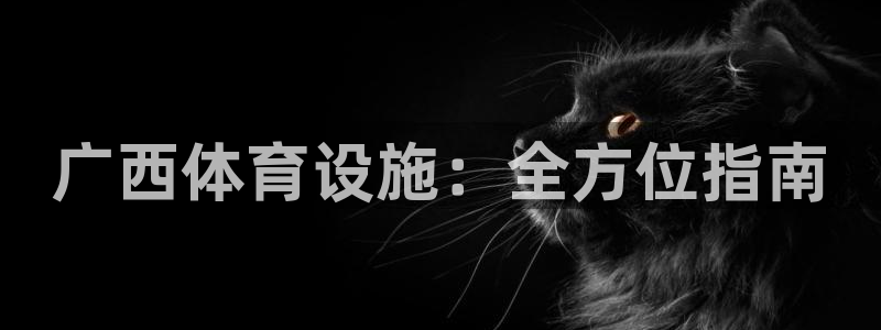 意昂体育3招商电话：广西体育设施：全方位指南