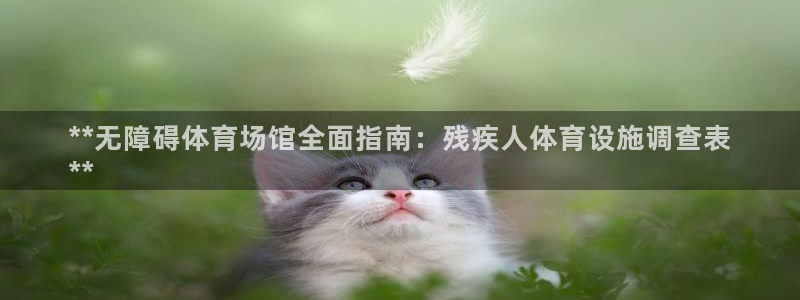 意昂3集团简介：**无障碍体育场馆全面指南：残疾人体