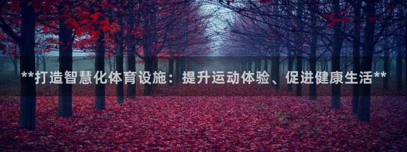 意昂3集团简介：**打造智慧化体育设施：提升运动体验