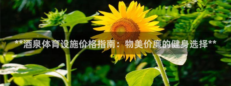 意昂3集团E.ON：**酒泉体育设施价格指南：物美价
