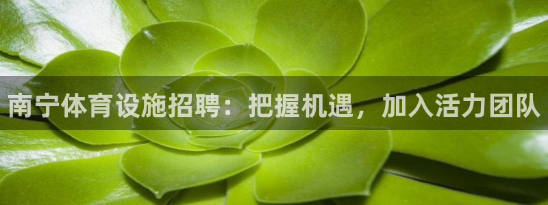 意昂3五金厂：南宁体育设施招聘：把握机遇，加入活力团