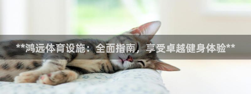 意昂体育3招商：**鸿远体育设施：全面指南，享受卓越