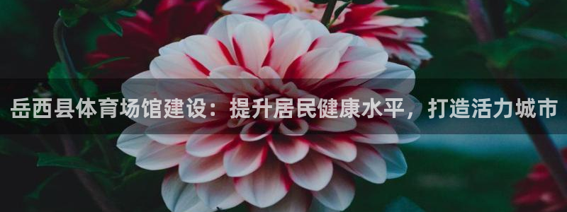 意昂3娱乐首页网站大全：岳西县体育场馆建设：提升居民