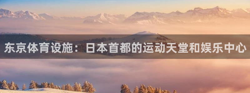 意昂体育3注册：东京体育设施：日本首都的运动天堂和娱