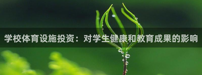 意昂3娱乐是那个系列的台子：学校体育设施投资：对学生