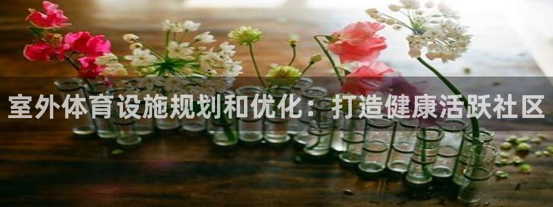 意昂体育3招商电话是多少号码：室外体育设施规划和优化