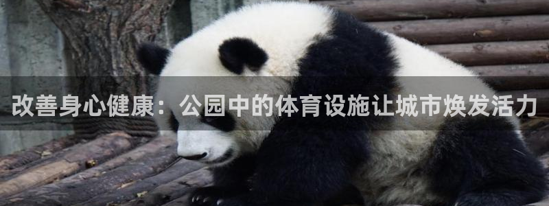 意昂体育3平台注册：改善身心健康：公园中的体育设施让