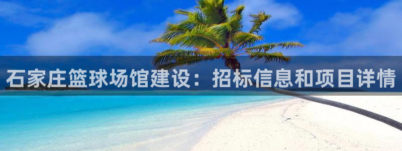 注册意昂3：石家庄篮球场馆建设：招标信息和项目详情