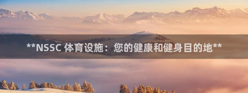 意昂3五金厂：**NSSC 体育设施：您的健康和健身