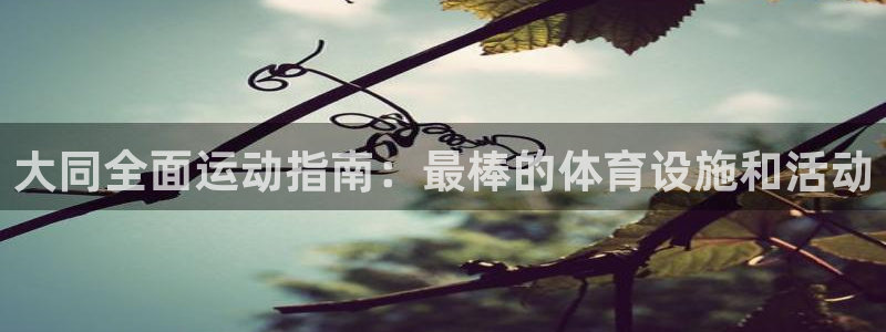 意昂体育3招商电话号码是多少：大同全面运动指南：最棒