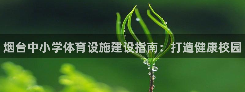 意昂3神州：烟台中小学体育设施建设指南：打造健康校园