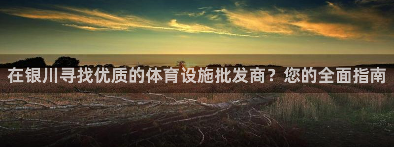 意昂体育3招商电话地址查询：在银川寻找优质的体育设施