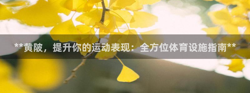 意昂体育3官方客服电话：**黄陂，提升你的运动表现：
