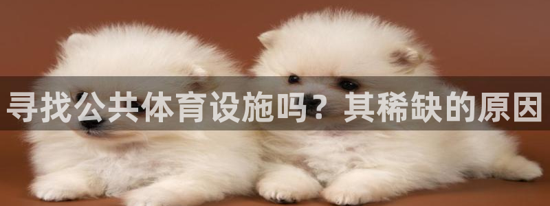 意昂3娱乐是那个系列的台子：寻找公共体育设施吗？其稀
