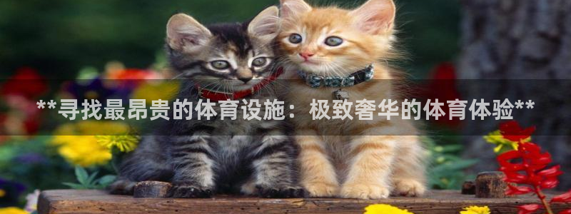 意昂体育3招商电话：**寻找最昂贵的体育设施：极致奢