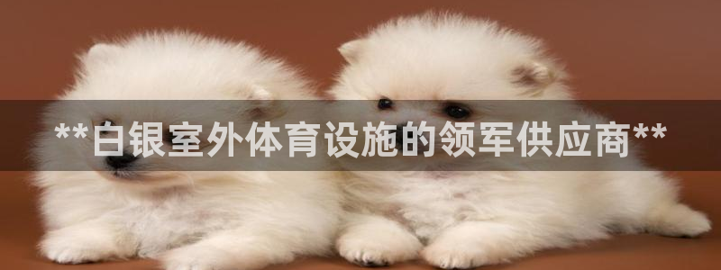 意昂3五金厂：**白银室外体育设施的领军供应商**