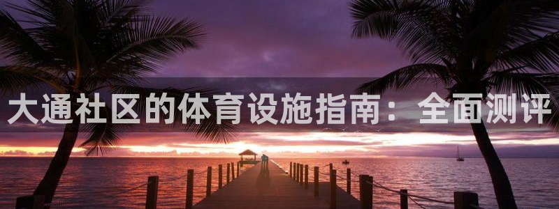 意昂体育3软件：大通社区的体育设施指南：全面测评