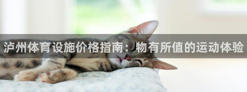 意昂体育3平台：泸州体育设施价格指南：物有所值的运动