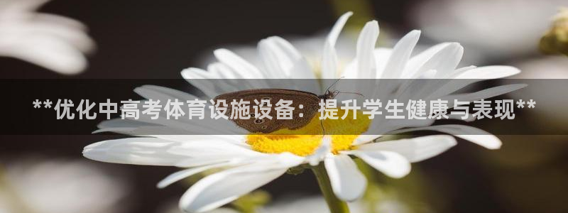 意昂体育3是干嘛的公司：**优化中高考体育设施设备：