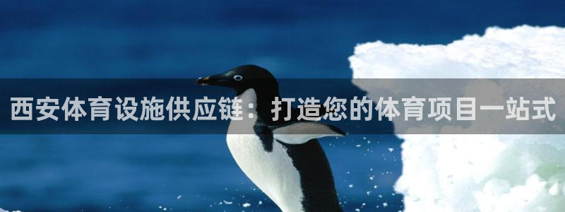 意昂3集团简介：西安体育设施供应链：打造您的体育项目