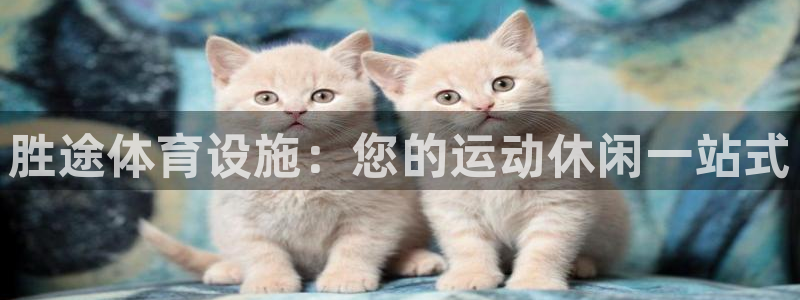 意昂体育3是干嘛的公司：胜途体育设施：您的运动休闲一