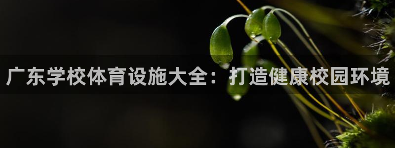 意昂体育3软件：广东学校体育设施大全：打造健康校园环