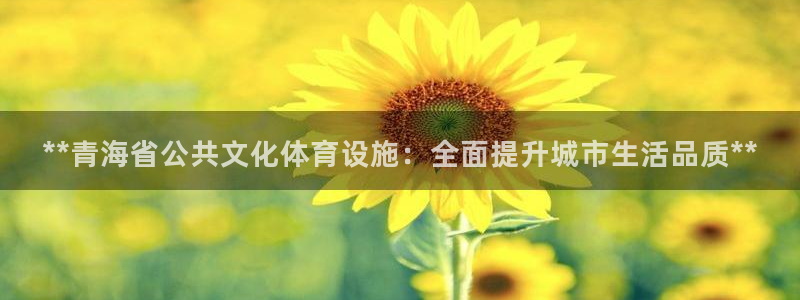 意昂3集团简介：**青海省公共文化体育设施：全面提升
