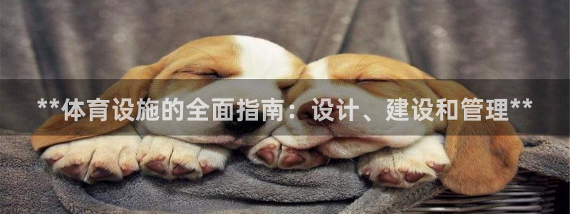 意昂平台体育：**体育设施的全面指南：设计、建设和管