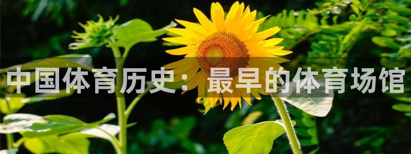 意昂3集团：中国体育历史：最早的体育场馆